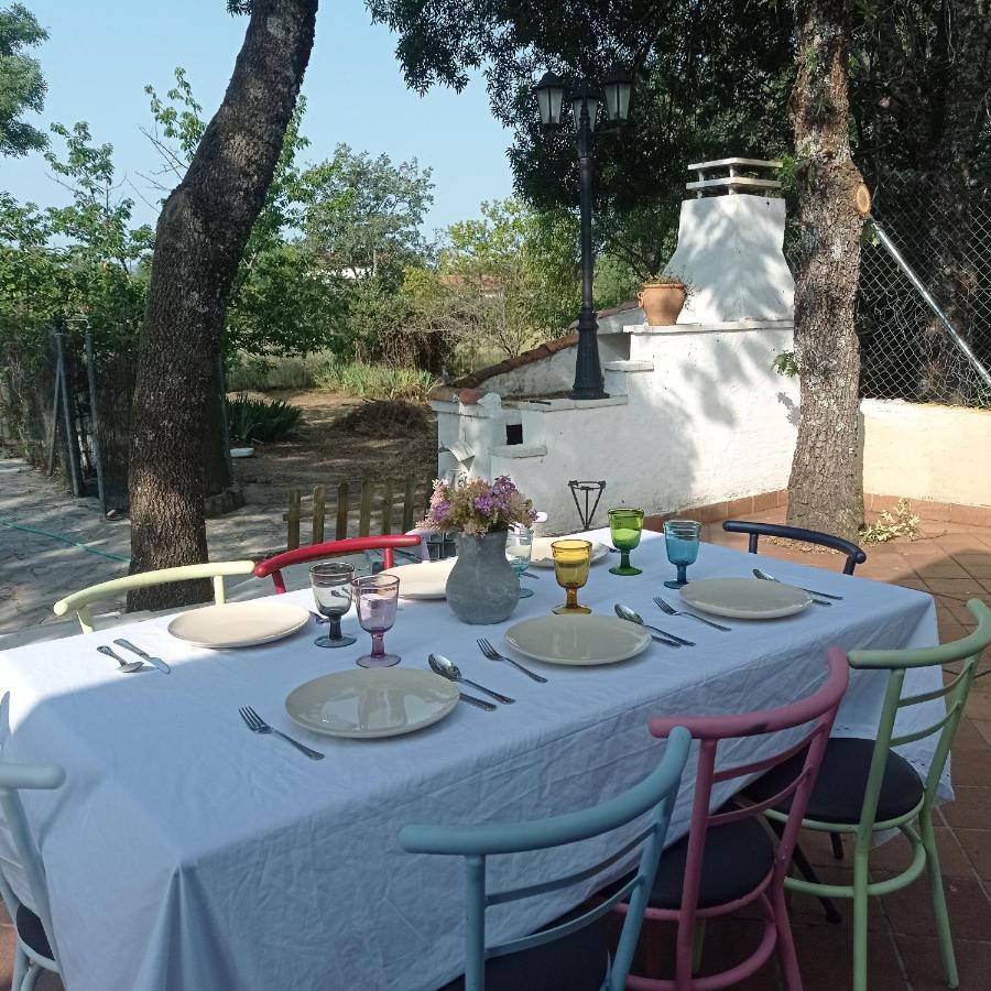 Casa Rural Vinas Perdidas Béjar Zewnętrze zdjęcie